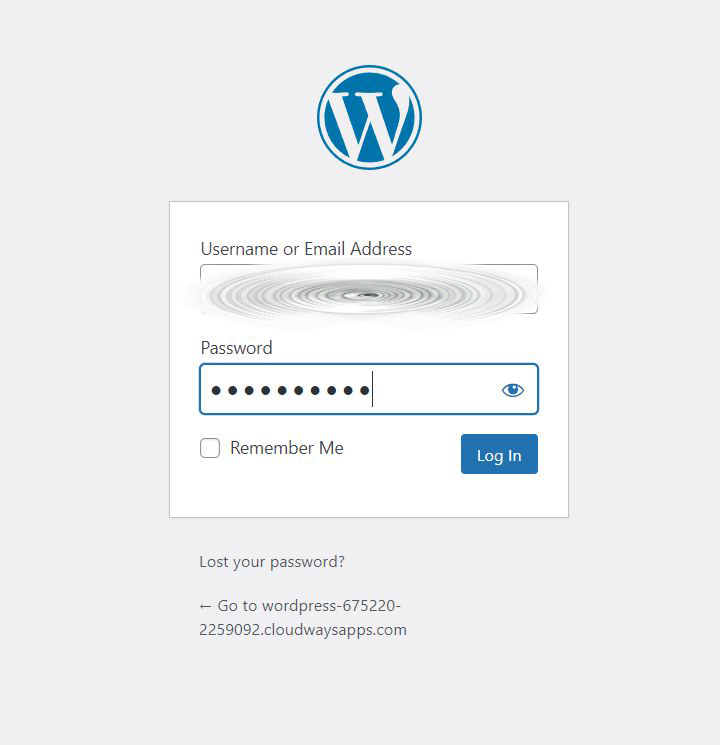 access wordpress admin panel