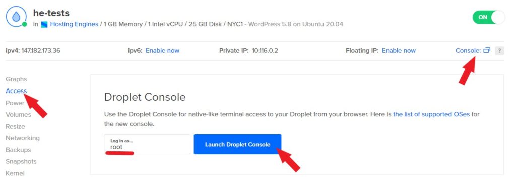 DigitalOcean Droplet Console