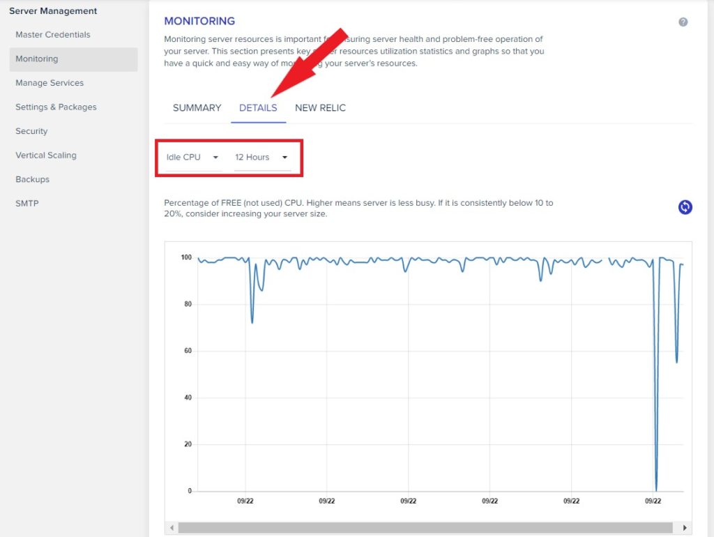 Cloudways Details Server Monitoring