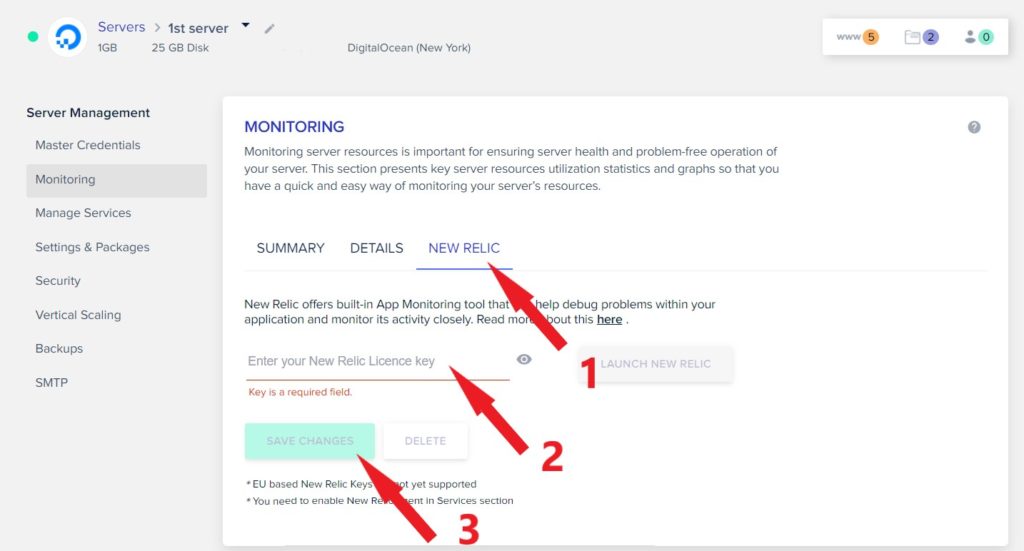 Cloudways New Relic Monitoring