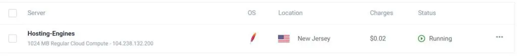 Vultr Server