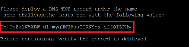 Vultr TXT record