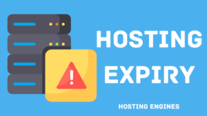 Check Web Hosting Expiry Date