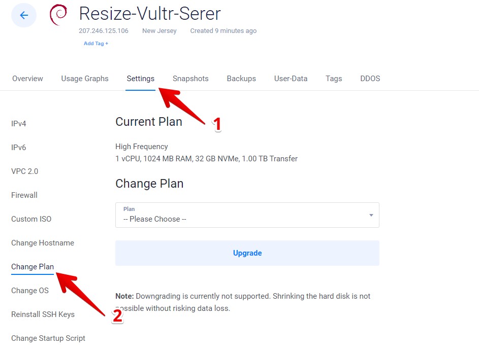 Resize Vultr Server Settings