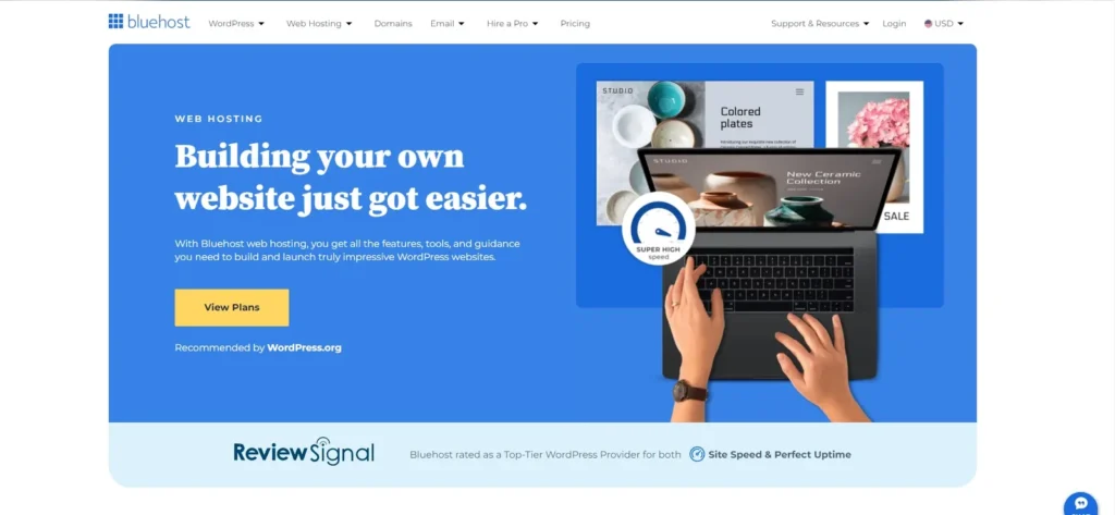 BlueHost Hosting