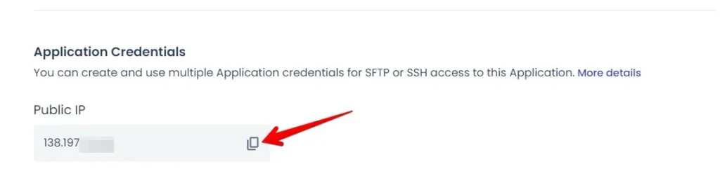 Cloudways Copy IP Address from Application