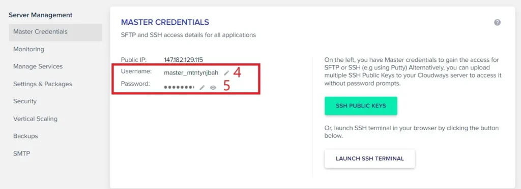 Cloudways Server Details