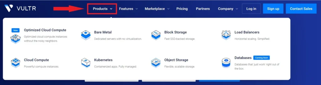 Vultr Products