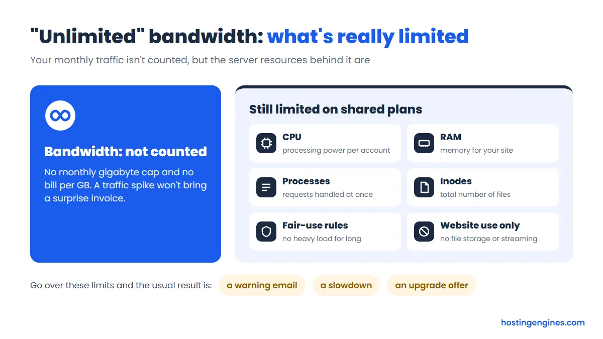 Unlimited bandwidth hosting: traffic is not counted, but CPU, RAM, processes, inodes and fair-use rules still limit shared plans