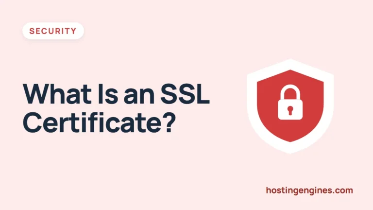 What is an SSL certificate and how does it work: The Definitive Guide