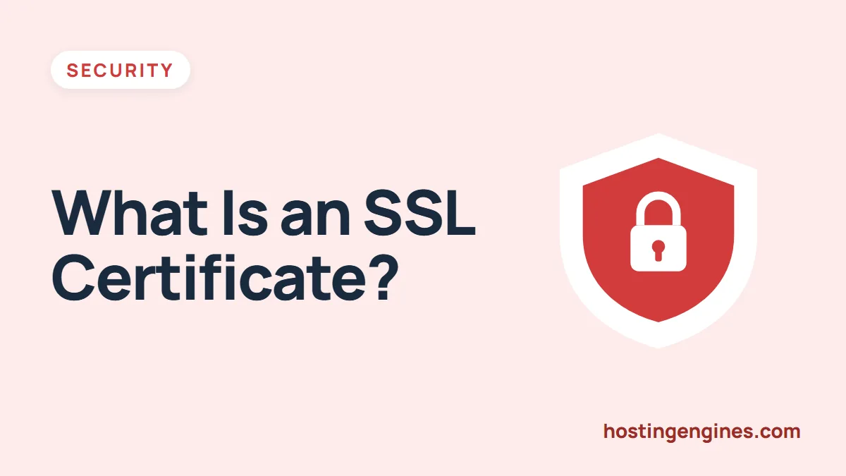 What is an SSL certificate and how does it work: The Definitive Guide